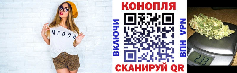 Бошки Шишки семена  где найти наркотики  Нижний Тагил 